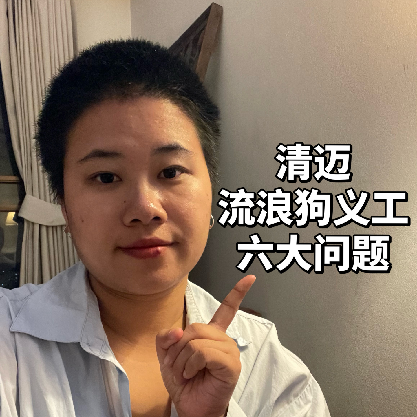 09/泰国清迈流浪狗救助六大问题？海外清迈领养流浪狗 episode artwork