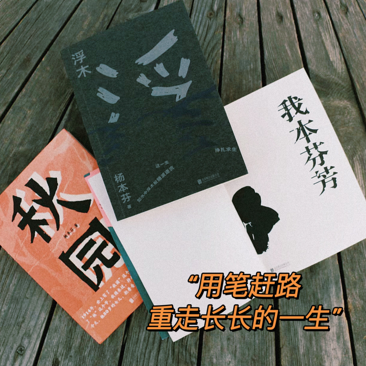 Vol.37 杨本芬三部曲：可以放进国家博物馆的中国女性精神 episode artwork