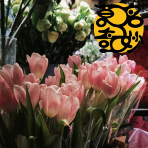 15.从“象牙塔”到“写字楼”：00后真正整顿的是价值标准