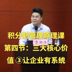 积分制管理原理课-第四节：积分制管理的三大核心价值 ③让企业有系统