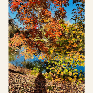 Vol.30 | 秋日闲聊:那些未完成的计划,都怎么样了?