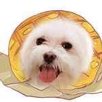菠萝包O-O