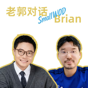 串台特辑（上）：出海美国的品类策略、流量与渠道