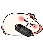 shnsusk