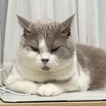 豆角_9wqJ