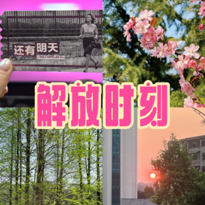 08 给生活多留些缝隙，才会有光照进来