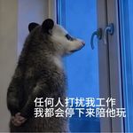 美女素质鱼