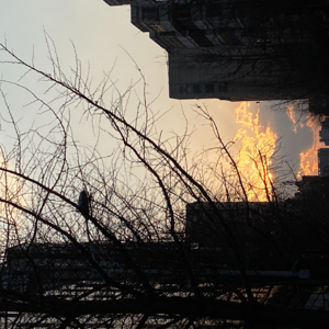 【听友来信系列】如果是你，你该怎么办？