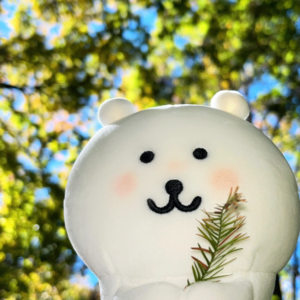 🏝️EP7 新年未老