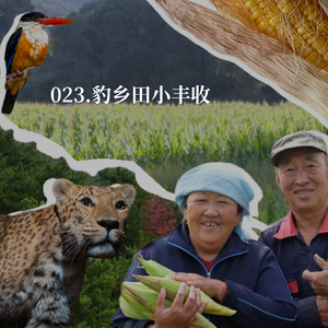 023.不止是豹子:一片农田如何成为野生动物的家园