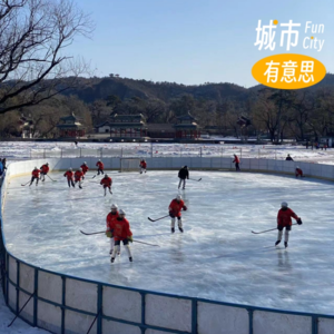 14. 当代城市公园：维护之上，运营未满