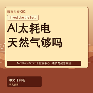 AI不只缺芯片，下一场可能缺天然气｜中文译制版