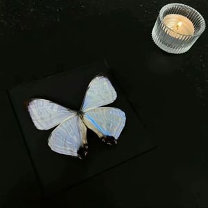 podcaster-avatar