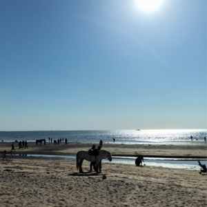 V23. 我的五一：老人与海边