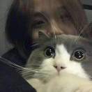 秋名山车神_9xzL