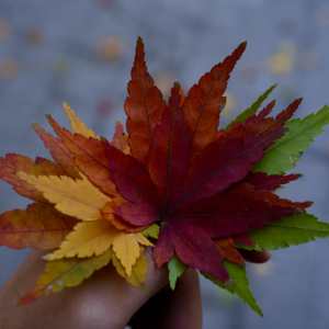 No.12 Intro丨序曲中拥抱每个年岁