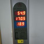 候鸟不是嗲妹妹