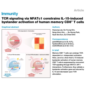 338-NFATc1 Constrains Bystander Activation of CD8+ T Cells