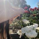 短笛大魔王_9EjY