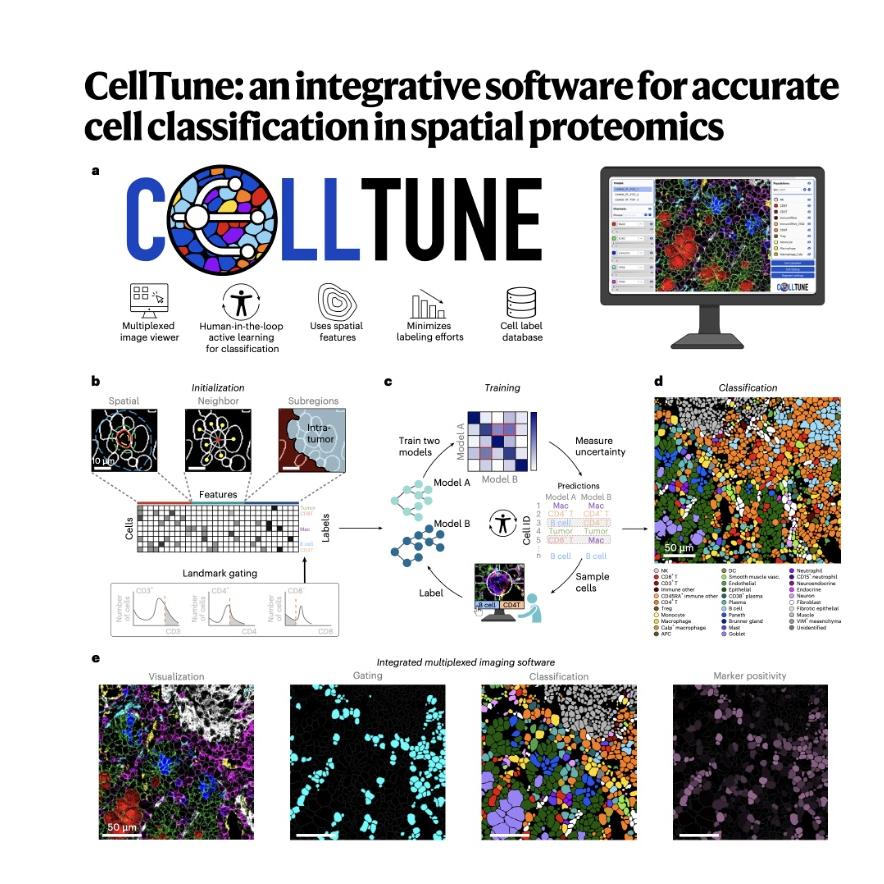 1554-CellTune for Precise Spatial Proteomics Classification episode artwork