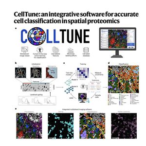 1554-CellTune for Precise Spatial Proteomics Classification