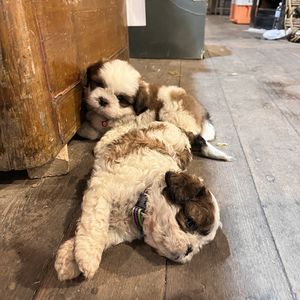 问问问问问问问123