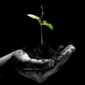 Vol.18 当命运敲门，我说：放门口吧，谢谢！