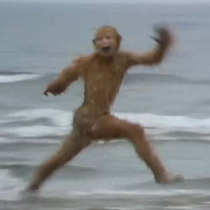 西游记里的生物|花果山的吗喽们