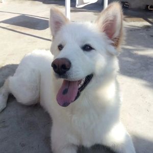 卷儿一点也不卷