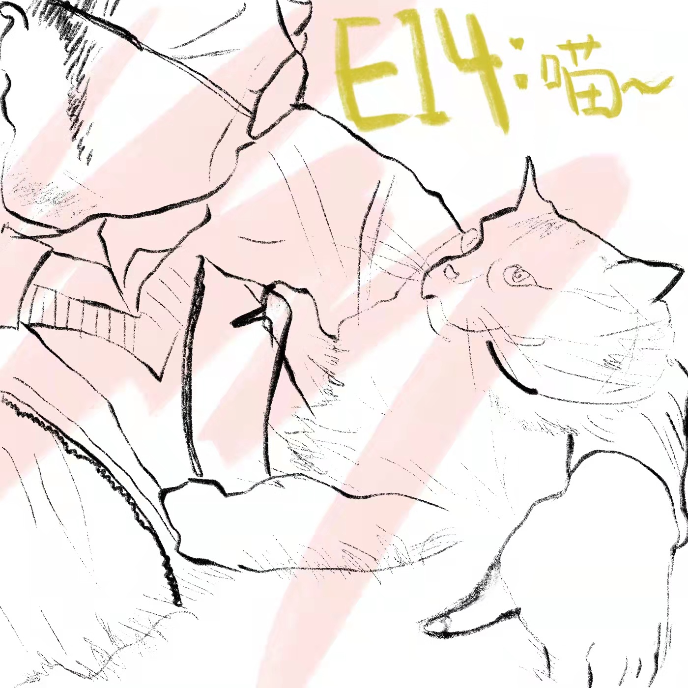 📸️14:『现代迷藏』我的猫对我说：对老天爷，你也得睁只眼闭只眼 episode artwork