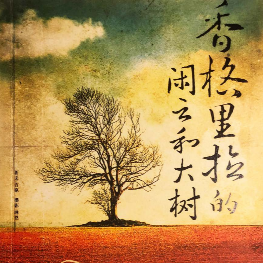 萤光小聚：聊聊那些漂泊的往事 episode artwork