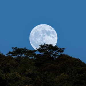 No.42-超级月亮怎么拍？