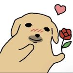 小狗带来一段劲爆的霹雳舞