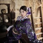 诺诺比较可