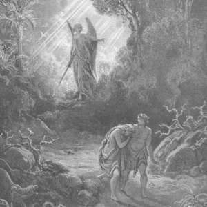 创世记EP2 人类起源之谜