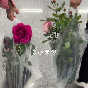 075 练习理解“具体的人”