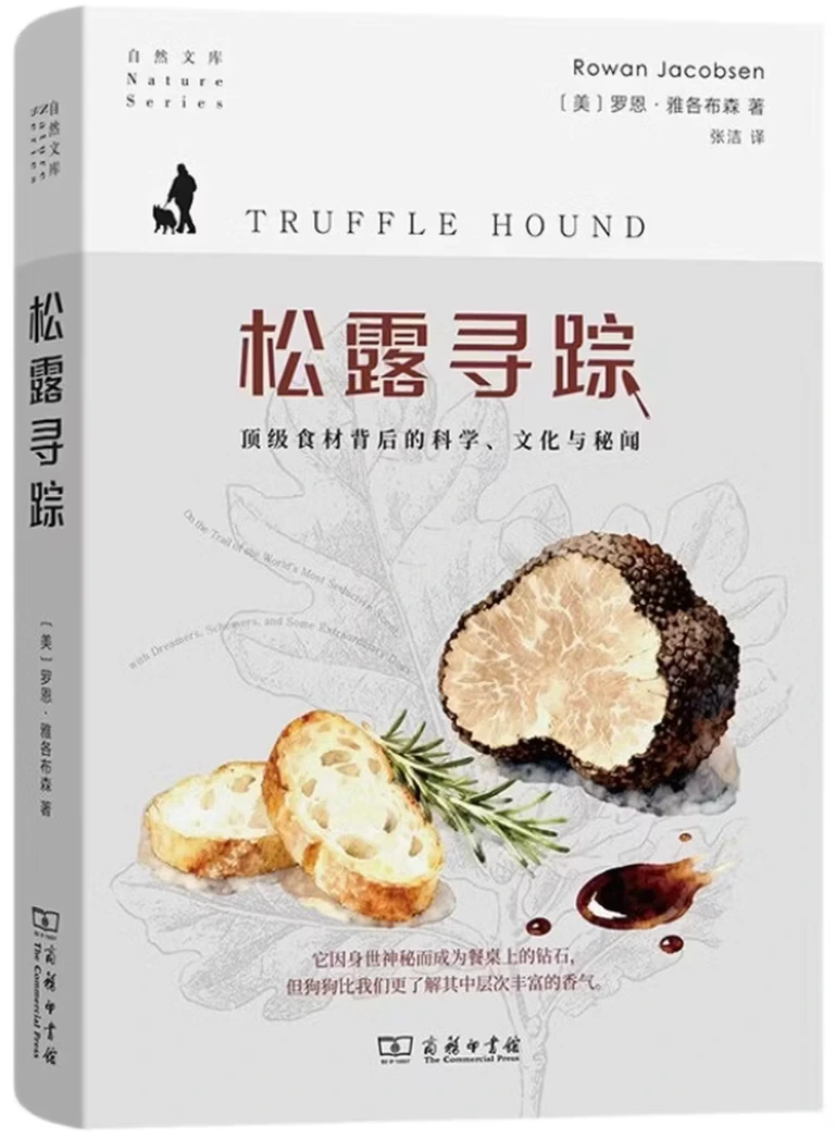 松露寻踪：顶级食材背后的科学、文化与秘闻