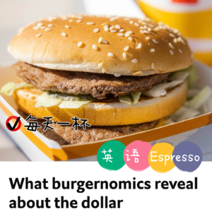 【93】汉堡经济学