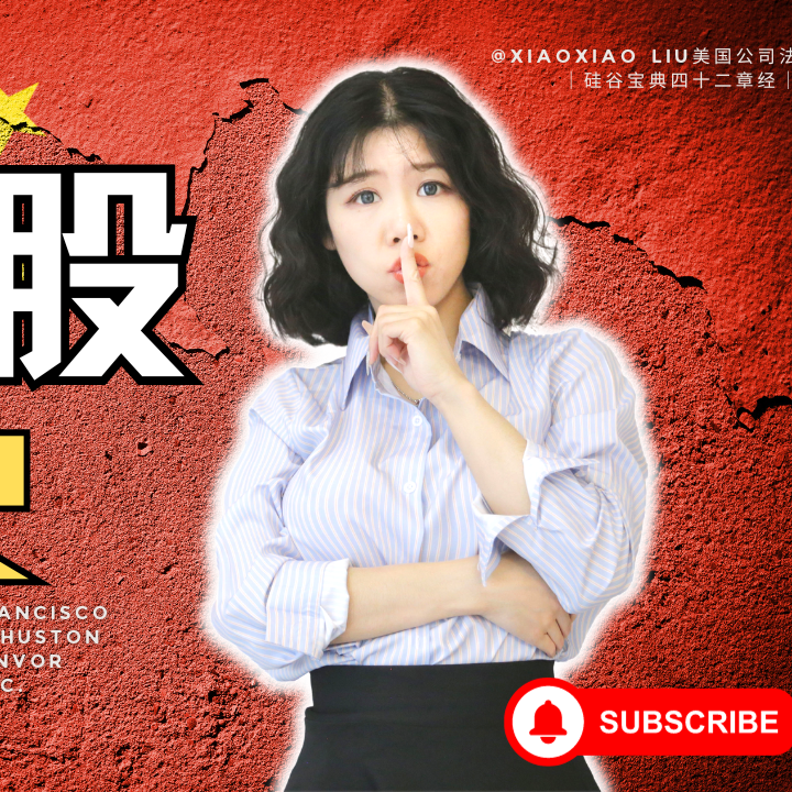 cover of episode 【硅谷宝典四十二章经（10）】中概股凉了VIE架构黄了