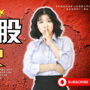 【硅谷宝典四十二章经（10）】中概股凉了VIE架构黄了