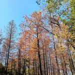 郭襄大彻大悟了