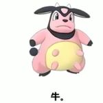 ychen_441