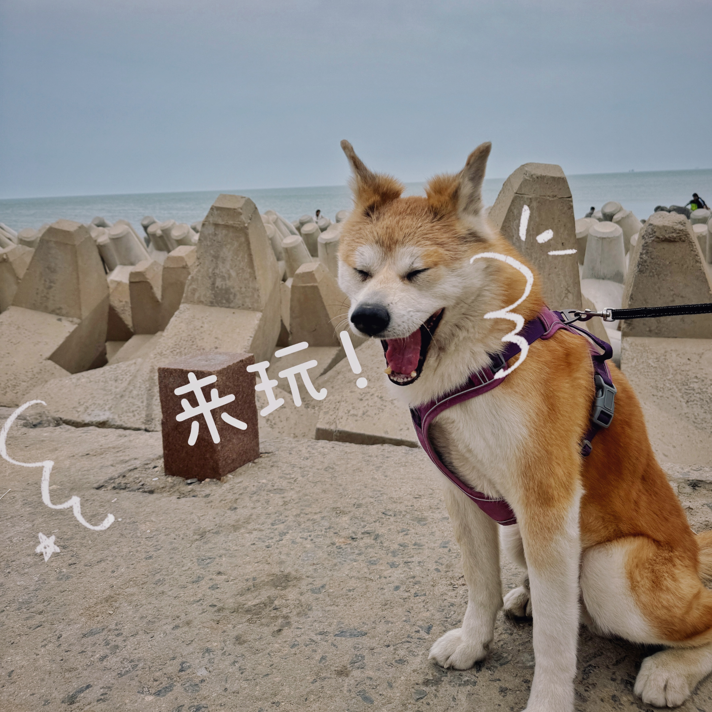 EP41-小众旅行地推荐｜这些地方都是谁在玩儿啊 episode artwork