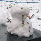 snowfallsout