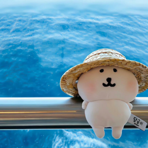 🏝️EP11 熊 陪你看海丨闽南语歌单002