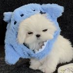 心碎小k