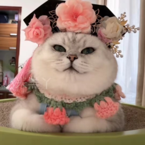 资本市场舆情解读【10月15日】