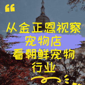 从金正恩视察宠物店看朝鲜宠物行业