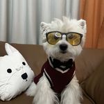 小番茄要和葡萄做朋友