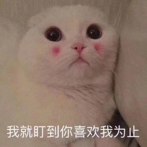 资本市场舆情解读【8月2日】